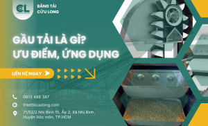 gau tai la gi uu diem ung dung 1 1