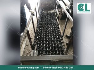 vit tai xoan mini 1 1